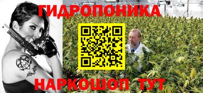 apvp Волжск