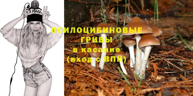 кракен как зайти  Советский  Галлюциногенные грибы Cubensis 