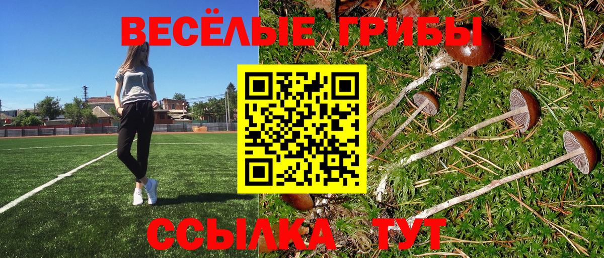 Галлюциногенные грибы Cubensis Советский