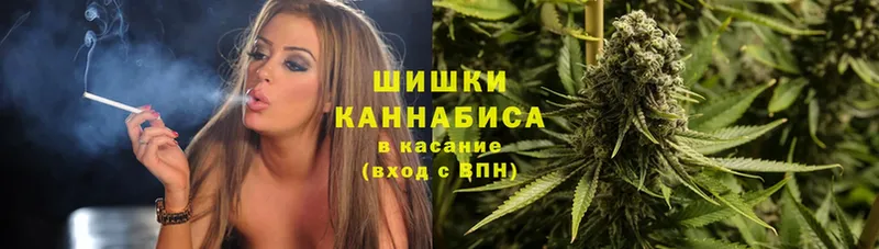 где купить наркотик  Советский  Конопля SATIVA & INDICA 